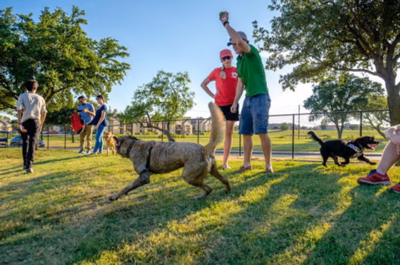Pets & People Dog Park photo 2